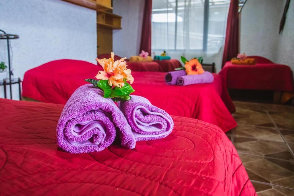 Cabanas & Hostal Tojika Hanga Roa Eksteriør bilde